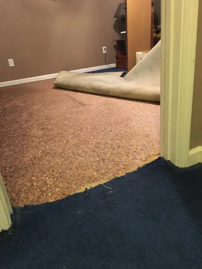 Carpet pad removal revealing water damage during Drying & Dehumidification in Layhill