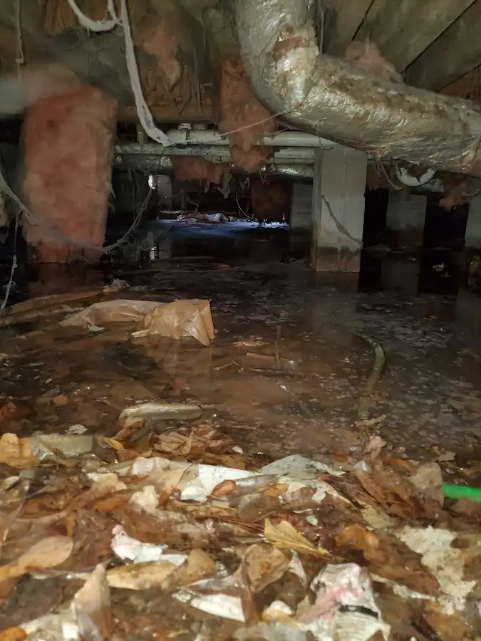 Crawl space flood assessment for Leak Detection & Repair in Layhill