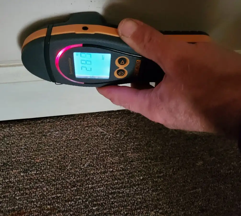 Moisture detection at baseboard during Mold Inspection & Testing in Layhill